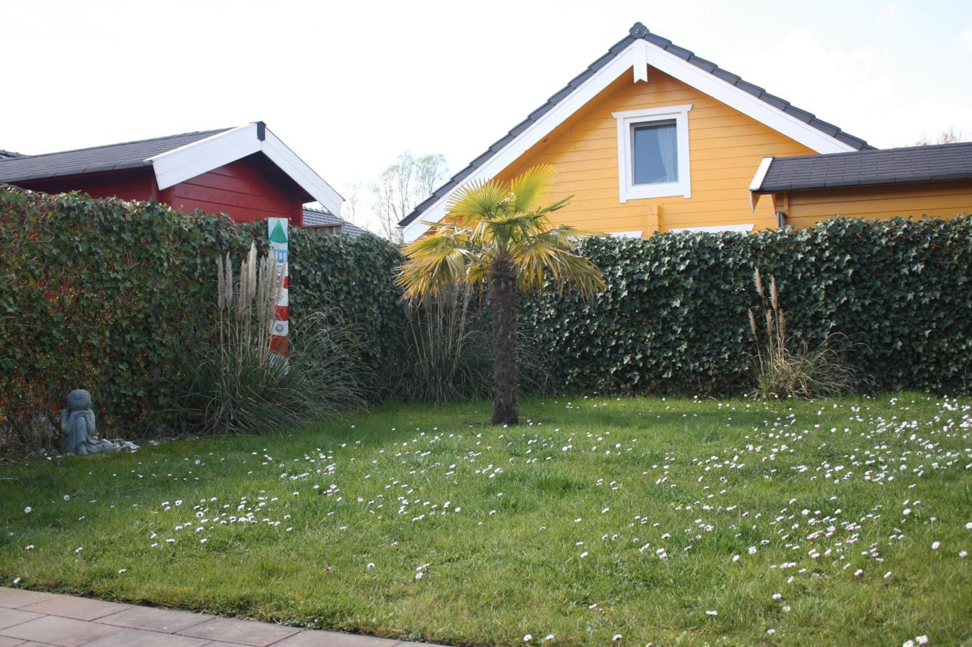 Villa Emilia - Gemütliches kinderfreundliches Blockhaus mit umzäuntem Garten Sint-Annaland Exterior foto